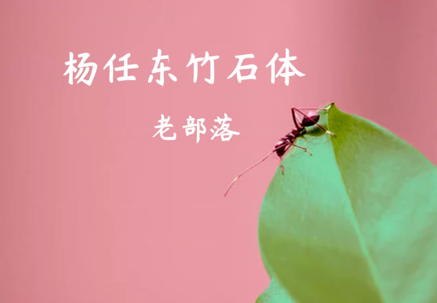 杨任东竹石体