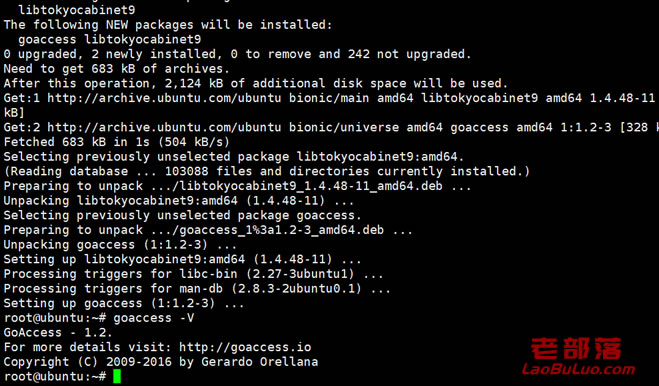 GoAccess 部署安装