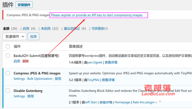 Compress JPEG & PNG images 插件每月500张图无损压缩