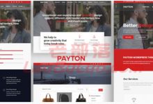 WordPress Payton商业多用途主题 电子商务/汽车租赁/美容等适用-老部落