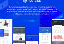 WordPress限免Hostzine主题适合主机销售网站使用-老部落
