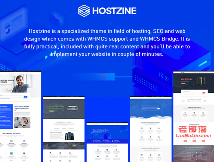 WordPress限免Hostzine主题适合主机销售网站使用