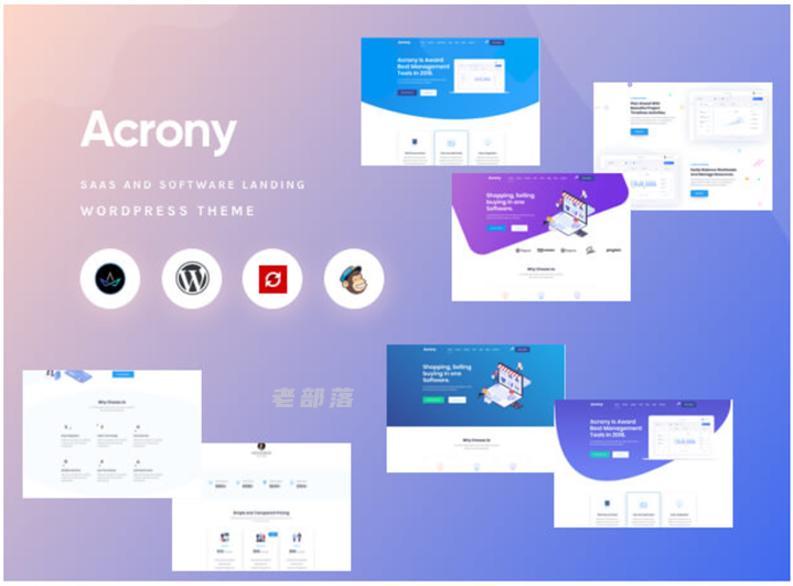 Acrony 软件主题