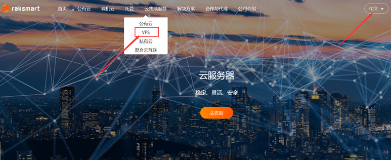 RAKsmart 