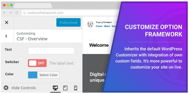 Customize Option Framework
