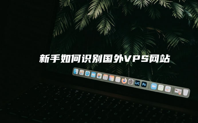 国外VPS网站选择和鉴别经验（新手如何识别国外VPS网站）