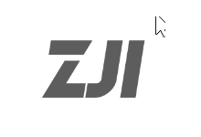 ZJI香港物理服务器 10M带宽不限流量 CN2+BGP线路-老部落